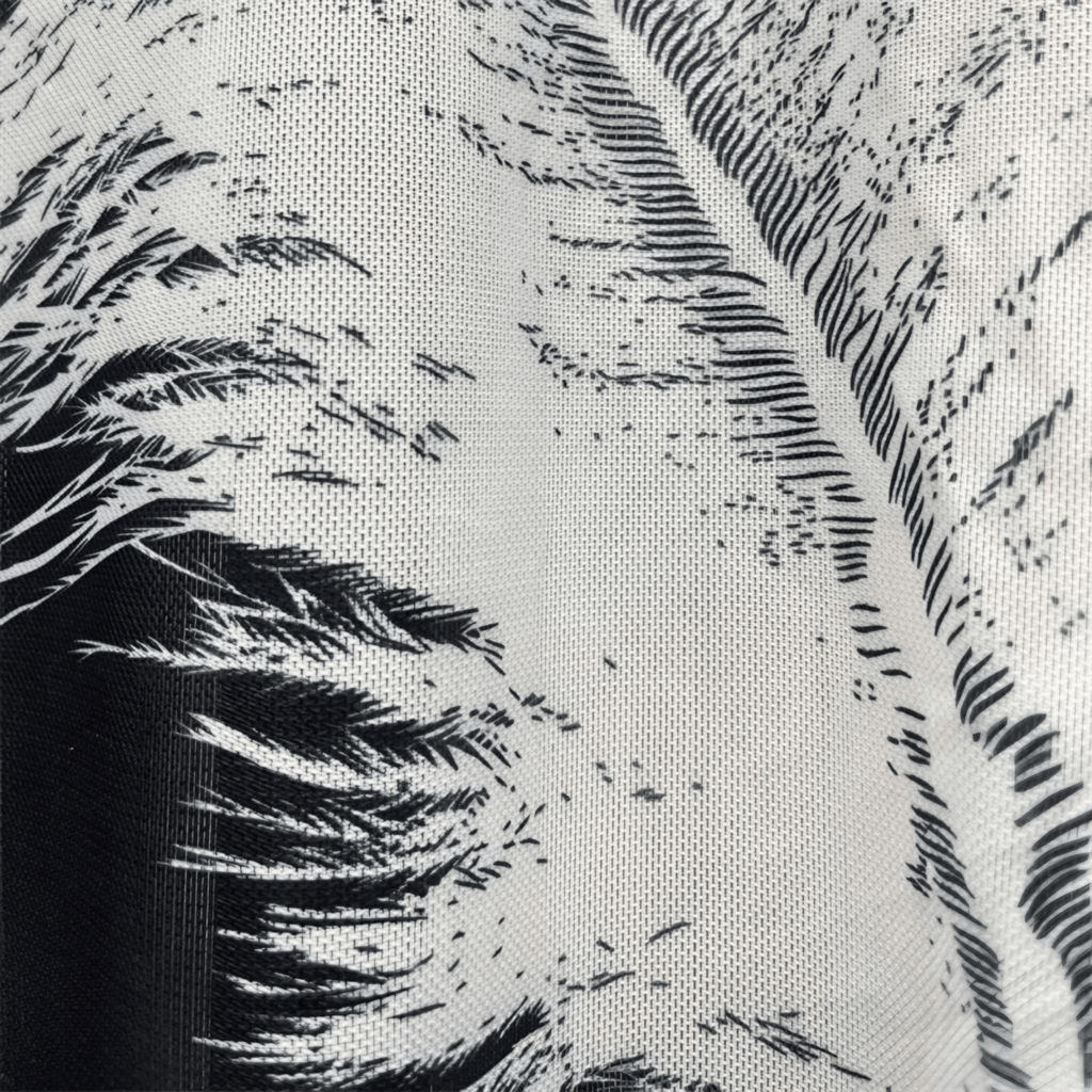 Body Feather